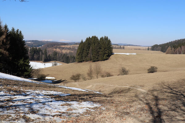 Jívka, Janovice, 14.3.2022
Pastviny nad Janovicemi. 
Klíčová slova: Teplice nad Metují Adršpašsko-teplické skály