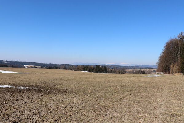 Jívka, Janovice, 14.3.2022
Pastviny nad Janovicemi. Pohled na Krkonoše.
Klíčová slova: Teplice nad Metují Adršpašsko-teplické skály Krkonoše