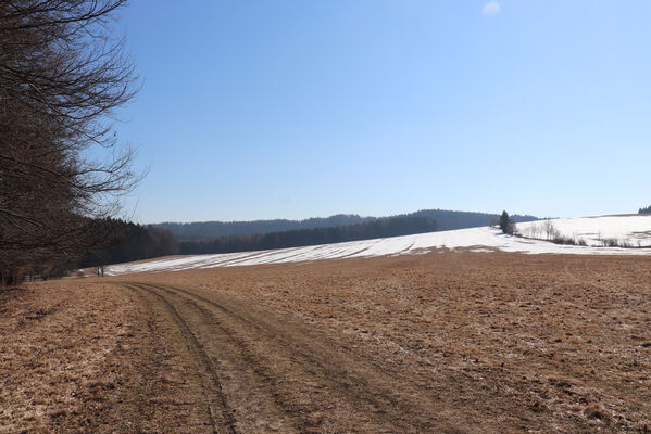 Jívka, Janovice, 14.3.2022
Pastviny nad Janovicemi - pohled na vrch Čáp. 
Klíčová slova: Teplice nad Metují Adršpašsko-teplické skály vrch čáp