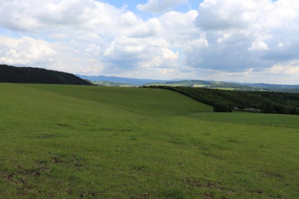 Teplice nad Metují, 1.6.2019
Skály - pastvina.
Mots-clés: Teplice nad Metují Skály pastvina