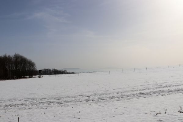 Teplice nad Metují, 24.2.2021
Pohled od vrchu Čáp na Ostaš a Orlické hory.
Mots-clés: Teplice nad Metují vrch Čáp Ostaš Orlické hory