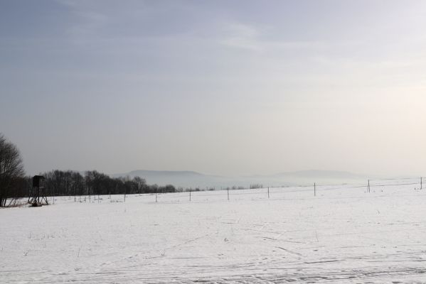 Teplice nad Metují, 24.2.2021
Pohled od vrchu Čáp na Jiráskovy skály a Ostaš.
Keywords: Teplice nad Metují vrch Čáp Jiráskovy skály Ostaš