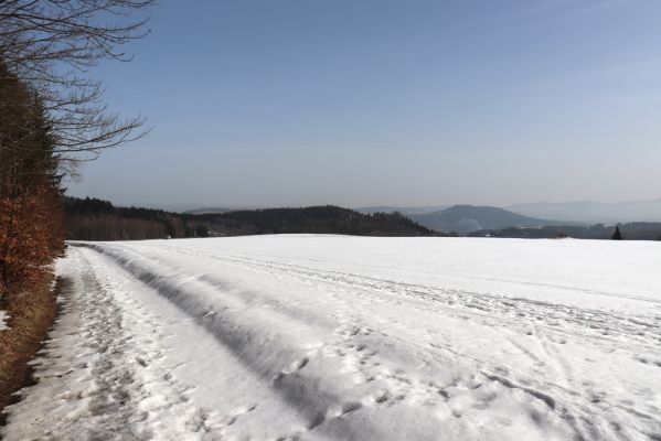 Teplice nad Metují, 24.2.2021
Pohled od vrchu Čáp na Jiráskovy skály a vrch Hejda.
Klíčová slova: Teplice nad Metují vrch Čáp Jiráskovy skály Hejda