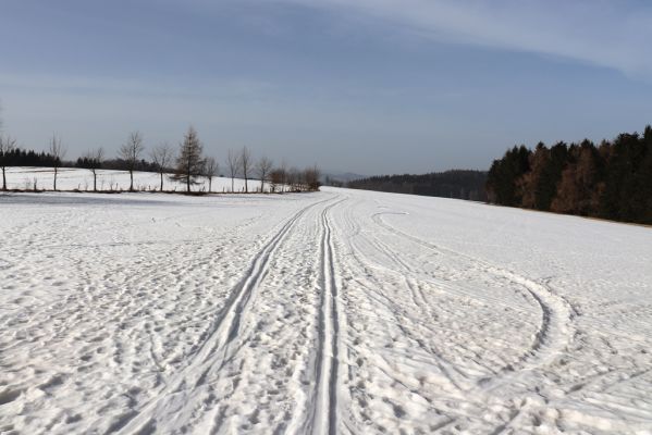 Jívka, 24.2.2021
Pohled od vrchu Čáp na Záboř a Krkonoše.
Klíčová slova: Jívka vrch Čáp Záboř Krkonoše