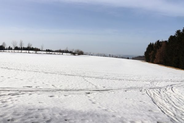 Jívka, 24.2.2021
Pohled od vrchu Čáp na Záboř a Krkonoše.
Klíčová slova: Jívka vrch Čáp Záboř Krkonoše