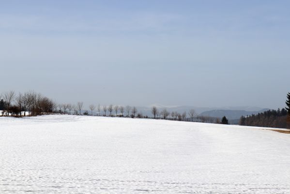 Jívka, 24.2.2021
Pohled od vrchu Čáp na Záboř a Krkonoše.
Klíčová slova: Jívka vrch Čáp Záboř Krkonoše