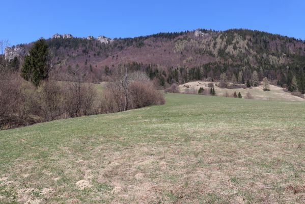 Terchová, 16.4.2019
Malá Fatra, Vrátna, Štefanová. Louka pod Boboty.
Klíčová slova: Terchová Malá Fatra Vrátna Štefanová Boboty