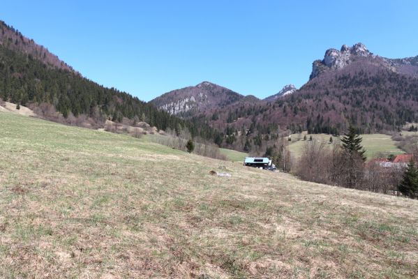 Terchová, 16.4.2019
Malá Fatra, Vrátna, Štefanová. Pohled na Malý Rozsutec.
Keywords: Terchová Malá Fatra Vrátna Štefanová Malý Rozsutec