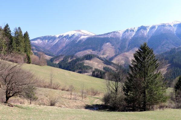 Terchová, 16.4.2019
Malá Fatra, Vrátna, Štefanová. Pohled na Stoh.
Keywords: Terchová Malá Fatra Vrátna Štefanová Stoh