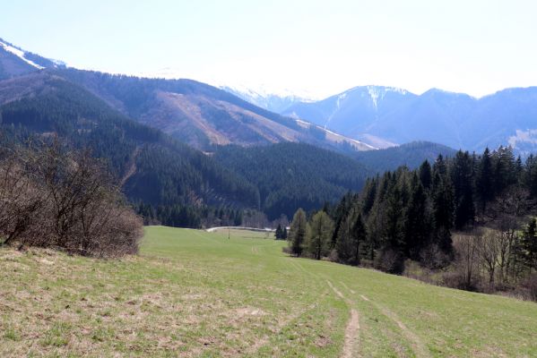 Terchová, 16.4.2019
Malá Fatra, Vrátna, Štefanová. Pohled na Kriváň.
Schlüsselwörter: Terchová Malá Fatra Vrátna Štefanová Kriváň