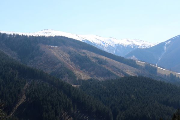 Terchová, 16.4.2019
Malá Fatra, Vrátna, Štefanová. Pohled na Kriváň.
Klíčová slova: Terchová Malá Fatra Vrátna Štefanová Kriváň