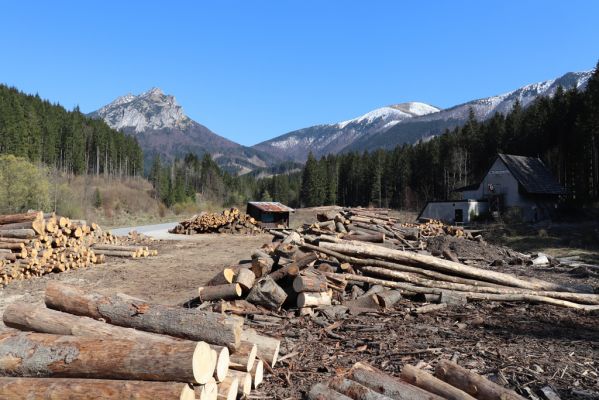 Terchová, 16.4.2019
Malá Fatra, Vrátna, Nová dolina.
Schlüsselwörter: Terchová Vrátna Nová dolina