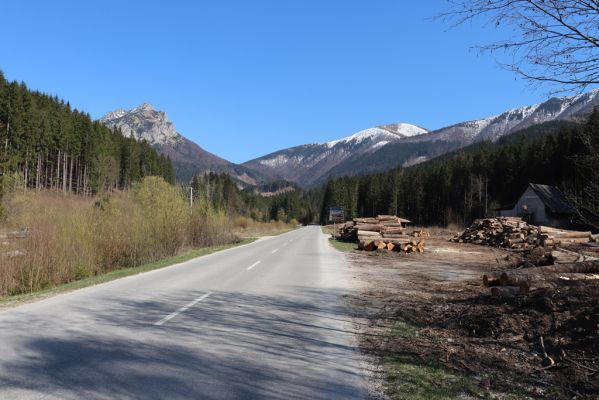 Terchová, 16.4.2019
Malá Fatra, Vrátna, Nová dolina.
Mots-clés: Terchová Vrátna Nová dolina