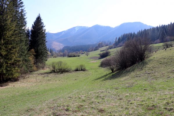 Terchová, 16.4.2019
Malá Fatra, Vrátna, Stará dolina.
Schlüsselwörter: Terchová Vrátna Stará dolina