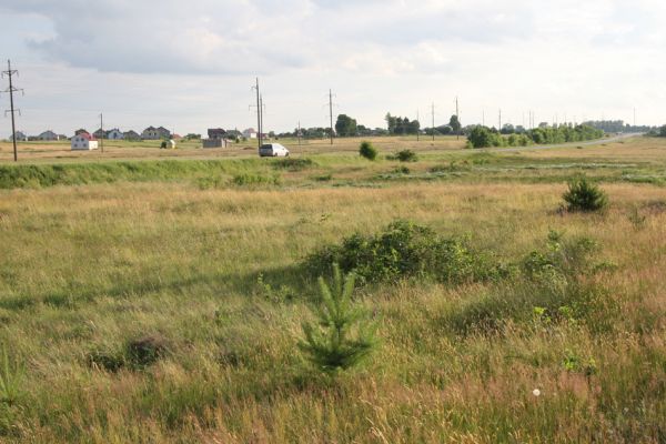 Ternovycja, 20.6.2011
Pohled z písečné duny na obec Ternovycja.
Schlüsselwörter: Ternovytsya Ternovycja Athous jejunus