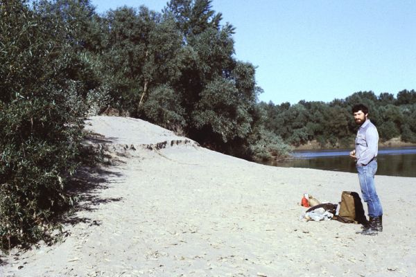 Malé Trakany - řeka Tisa, 23.5.1989
Kolega Jaroslav Jelínek na písčité duně v korytě Tisy. Typová lokalita kovaříka Cidnopus platiai, jenž zde byl v tento den objeven pro vědu.
Schlüsselwörter: Malé Trakany Tisa Cidnopus platiai