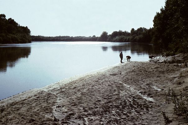 Malé Trakany - řeka Tisa, 23.5.1989
Rybáři na Tise.
Keywords: Malé Trakany Tisa