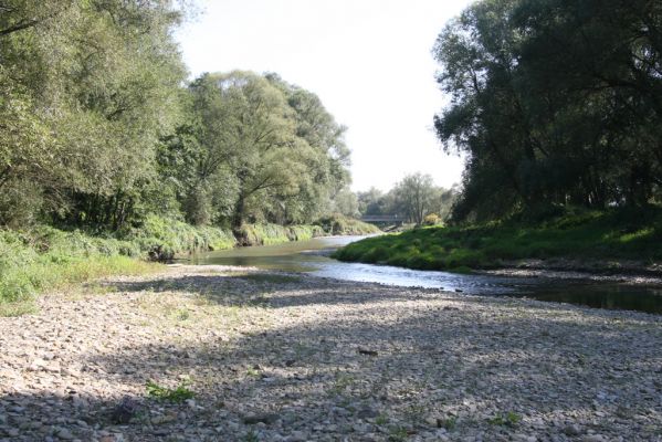 Tisinec, 18.9.2014
Meandry Ondavy - štěrkové náplavy.



Klíčová slova: Tisinec řeka Ondava