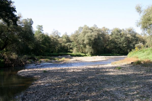 Tisinec, 18.9.2014
Meandry Ondavy - štěrkové náplavy.



Mots-clés: Tisinec řeka Ondava