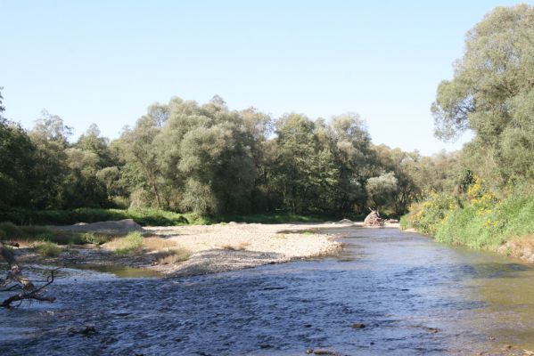 Tisinec, 18.9.2014
Meandry Ondavy - těžba štěrkových náplavů.
Schlüsselwörter: Tisinec řeka Ondava