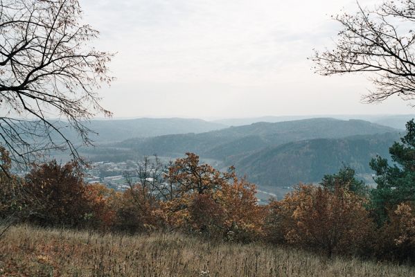 Tišnov, 31.10.2006
Květnice.
Schlüsselwörter: Tišnov Květnice