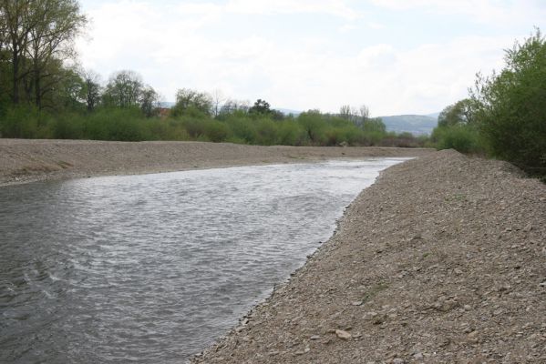 Šarišské Michaľany, 21.4.2014
Místo přírodně bohatých meandrů Torysy je teď jen sterilní kanál.
Mots-clés: Šarišské Michaľany Torysa