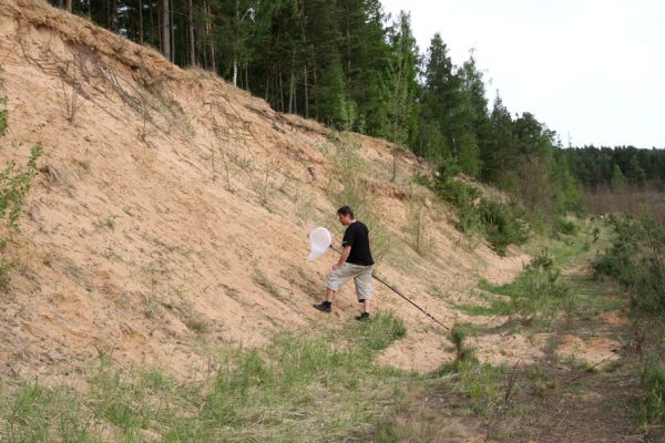 Travčice, 29.4.2012
Jihozápadně orientovaný svah v travčické pískovně - biotop kovaříků Paracardiophorus musculus a Dicronychus equisetioides.
Klíčová slova: Travčice pískovna Paracardiophorus musculus Dicronychus equisetioides Dušánek