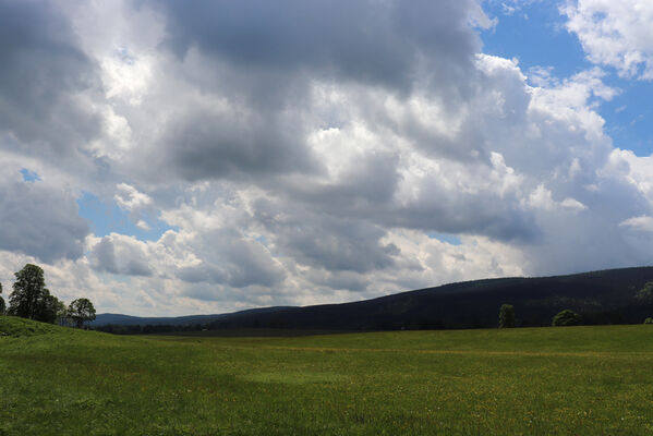 Orlické Záhoří, 1.6.2022
Trčkov. 
Keywords: Orlické hory Orlické Záhoří Trčkov