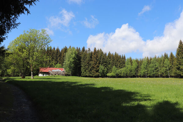 Orlické Záhoří, Trčkov, 1.6.2022
Chátrající dům Josefa Mertlíka u Trčkovské louky.
Keywords: Orlické hory Orlické Záhoří Trčkov Trčkovská louka Aplotarsus incanus