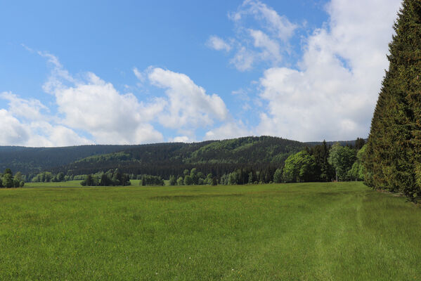 Orlické Záhoří, Trčkov, 1.6.2022
Louky pod Trčkovskou loukou.
Keywords: Orlické hory Orlické Záhoří Trčkov Divoká Orlice Trčkovská louka