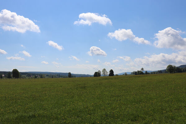 Orlické Záhoří, Trčkov, 1.6.2022
Louky pod Trčkovskou loukou.
Keywords: Orlické hory Orlické Záhoří Trčkov Divoká Orlice