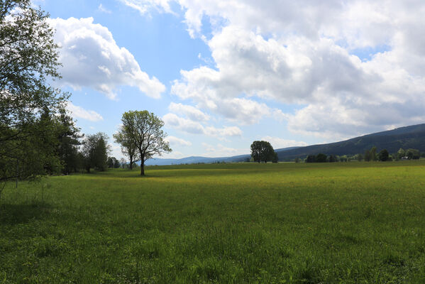 Orlické Záhoří, Trčkov, 1.6.2022
Louka u Divoké Orlice.
Keywords: Orlické hory Orlické Záhoří Trčkov Divoká Orlice