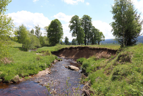 Orlické Záhoří, Trčkov, 1.6.2022
Meandry Divoké Orlice.
Keywords: Orlické hory Orlické Záhoří Trčkov Divoká Orlice