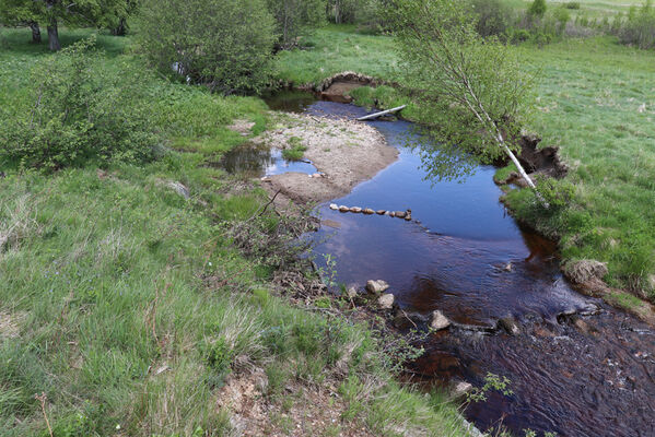 Orlické Záhoří, Trčkov, 1.6.2022
Meandry Divoké Orlice.
Keywords: Orlické hory Orlické Záhoří Trčkov Divoká Orlice