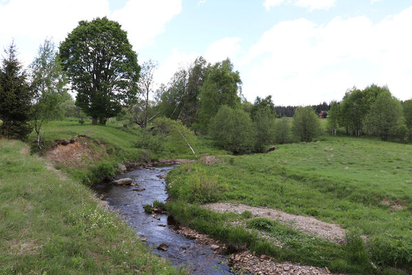 Orlické Záhoří, Trčkov, 1.6.2022
Meandry Divoké Orlice.
Keywords: Orlické hory Orlické Záhoří Trčkov Divoká Orlice