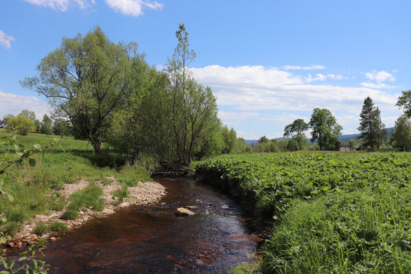 Orlické Záhoří, Trčkov, 1.6.2022
Meandry Divoké Orlice.
Keywords: Orlické hory Orlické Záhoří Trčkov Divoká Orlice