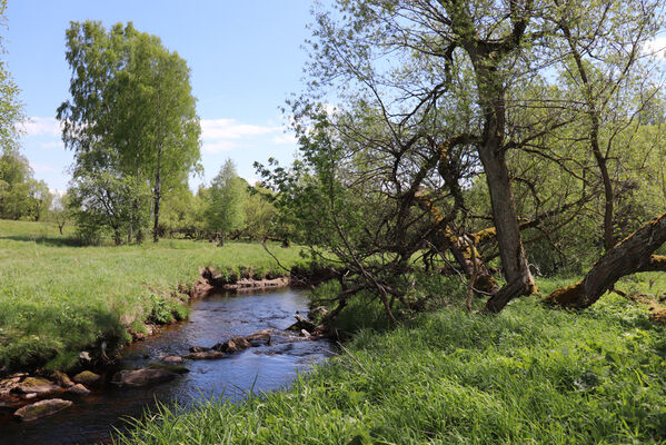 Orlické Záhoří, Trčkov, 1.6.2022
Meandry Divoké Orlice.
Keywords: Orlické hory Orlické Záhoří Trčkov Divoká Orlice