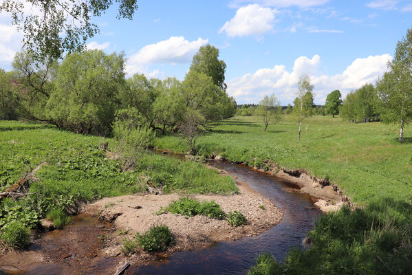 Orlické Záhoří, Trčkov, 1.6.2022
Meandry Divoké Orlice.
Klíčová slova: Orlické hory Orlické Záhoří Trčkov Divoká Orlice Zorochros dermestoides