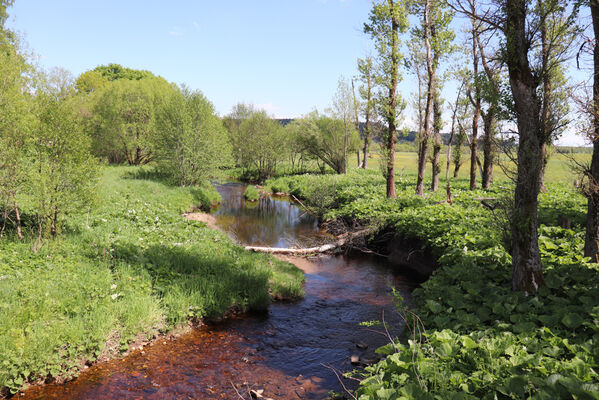 Orlické Záhoří, Bedřichovka, 1.6.2022
Meandry Divoké Orlice.
Klíčová slova: Orlické hory Orlické Záhoří Bedřichovka Divoká Orlice