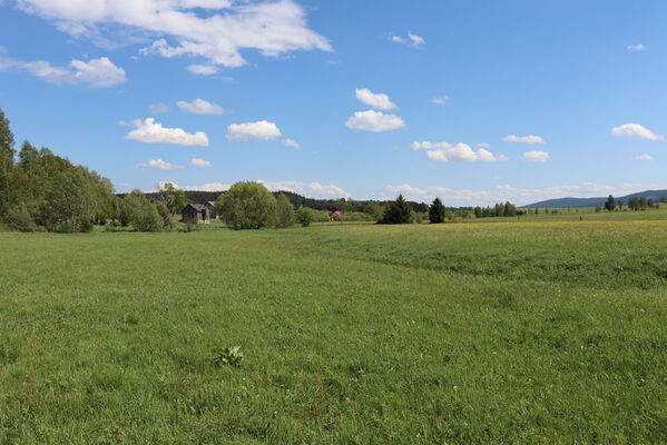 Orlické Záhoří, Bedřichovka, 1.6.2022
Louky u Divoké Orlice.
Keywords: Orlické hory Orlické Záhoří Bedřichovka Divoká Orlice Aplotarsus incanus