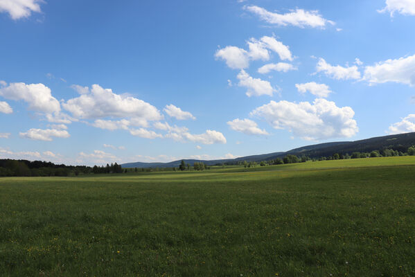 Orlické Záhoří, Bedřichovka, 1.6.2022
Louky nad Divokou Orlicí.
Keywords: Orlické hory Orlické Záhoří Bedřichovka Divoká Orlice