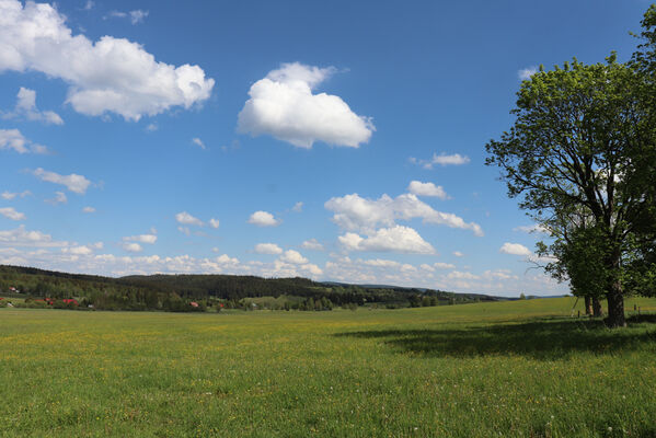 Orlické Záhoří, Bedřichovka, 1.6.2022
Louky nad Divokou Orlicí.
Keywords: Orlické hory Orlické Záhoří Bedřichovka Divoká Orlice