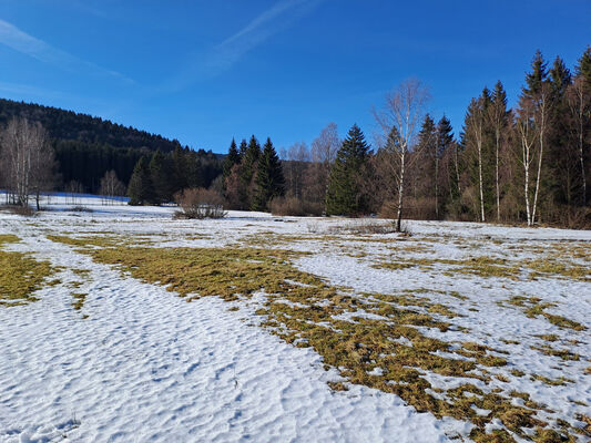 Orlické Záhoří, Trčkov, 29.1.2024
Trčkovské louky.
Keywords: Orlické hory Orlické Záhoří Trčkov