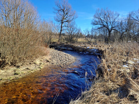 Orlické Záhoří, Trčkov, 29.1.2024
Meandry Divoké Orlice.
Keywords: Orlické hory Orlické Záhoří Trčkov Divoká Orlice