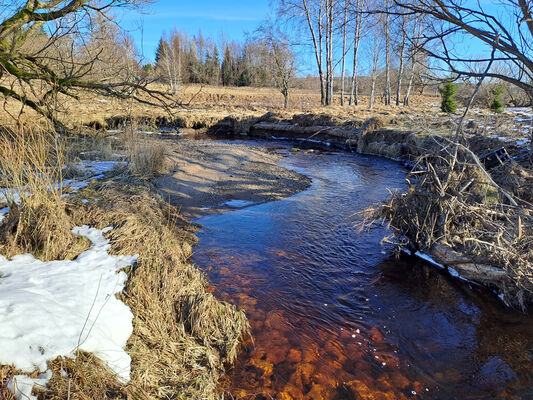 Orlické Záhoří, Trčkov, 29.1.2024
Meandry Divoké Orlice.
Keywords: Orlické hory Orlické Záhoří Trčkov Divoká Orlice Negastrius pulchellus Zorochros dermestoides