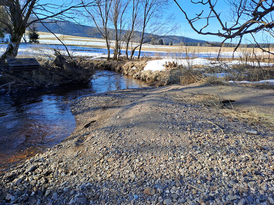 Orlické Záhoří, Trčkov, 29.1.2024
Meandry Divoké Orlice.
Keywords: Orlické hory Orlické Záhoří Trčkov Divoká Orlice Negastrius pulchellus Zorochros dermestoides