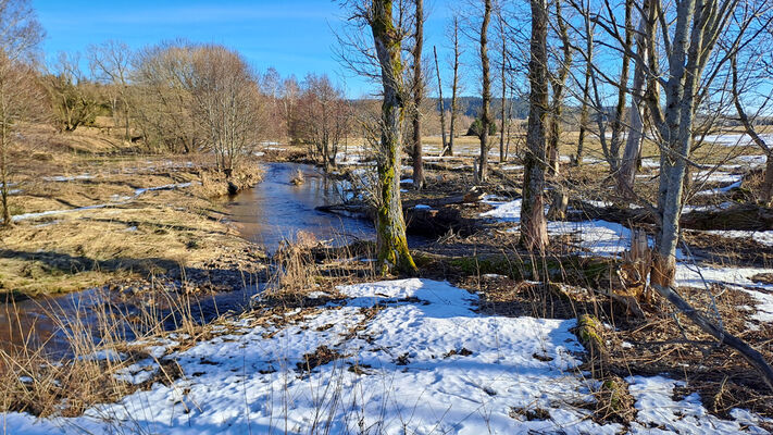 Orlické Záhoří, Bedřichovka, 29.1.2024
Meandry Divoké Orlice.
Keywords: Orlické hory Orlické Záhoří Bedřichovka Divoká Orlice