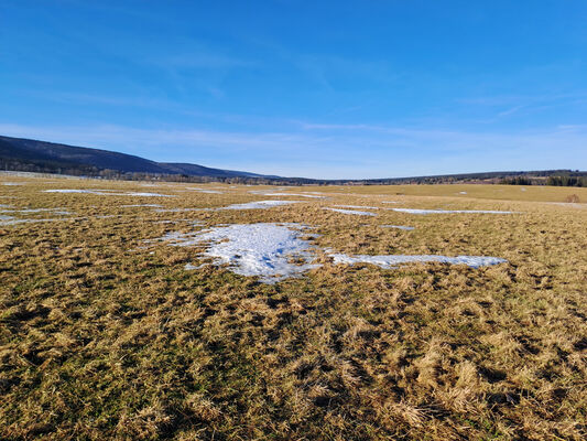 Orlické Záhoří, Jadrná, 29.1.2024
Pastviny nad Jadrnou.
Keywords: Orlické hory Orlické Záhoří Jadrná