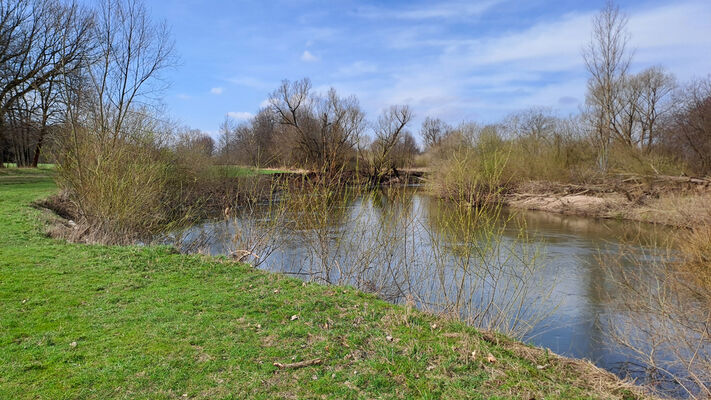 Třebechovice pod Orebem, Krňovice, 11.3.2024
Meandry Orlice.
Schlüsselwörter: Třebechovice pod Orebem Krňovice meandry Orlice