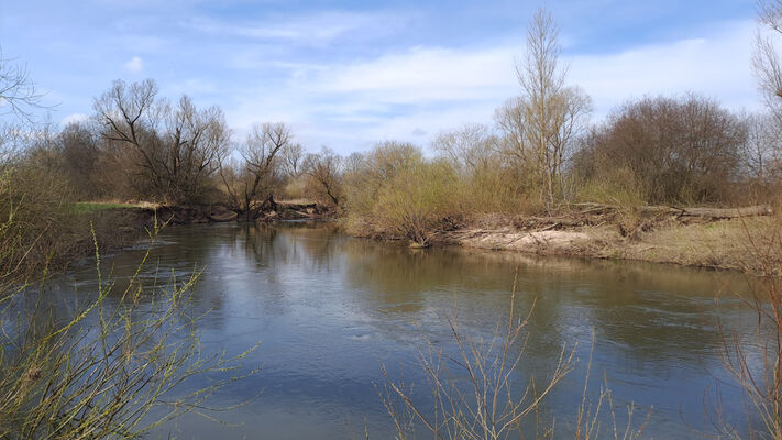 Třebechovice pod Orebem, 11.3.2024
Meandry Orlice.
Schlüsselwörter: Třebechovice pod Orebem meandry Orlice